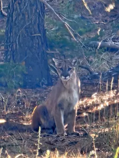 $2,100,000 | 323 Overlook Lane, Boulder, CO 80302