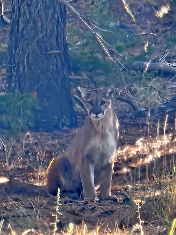 $2,100,000 | 323 Overlook Lane, Boulder, CO 80302