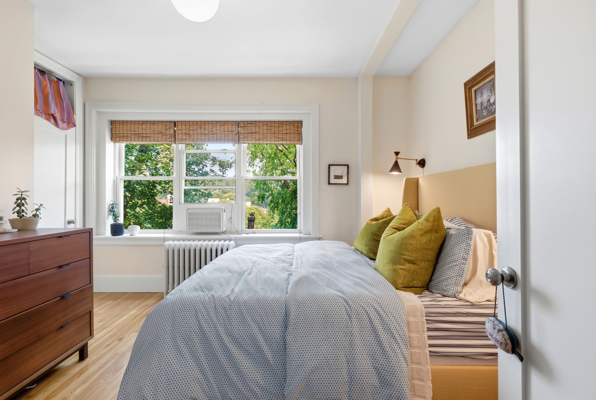 127 Winthrop Road, Unit 1A Brookline, MA 02445 - Photo 11 of 30