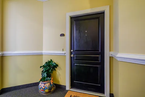 a potted plant sitting in front of a door