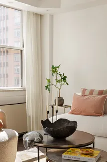 a living room with furniture and a potted plant