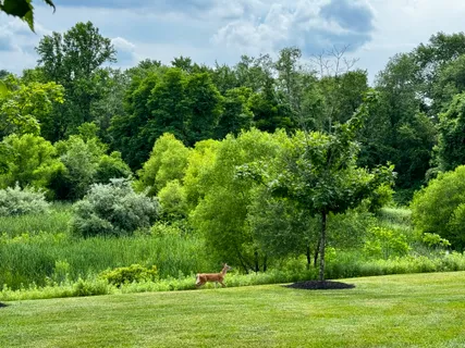 $625,000 | 3214 Brookside Drive, Furlong, PA 18925