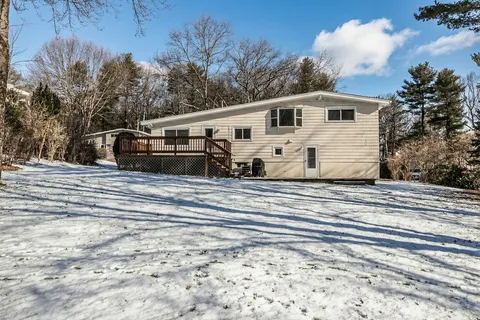 a view of a yard with plants and a large tree