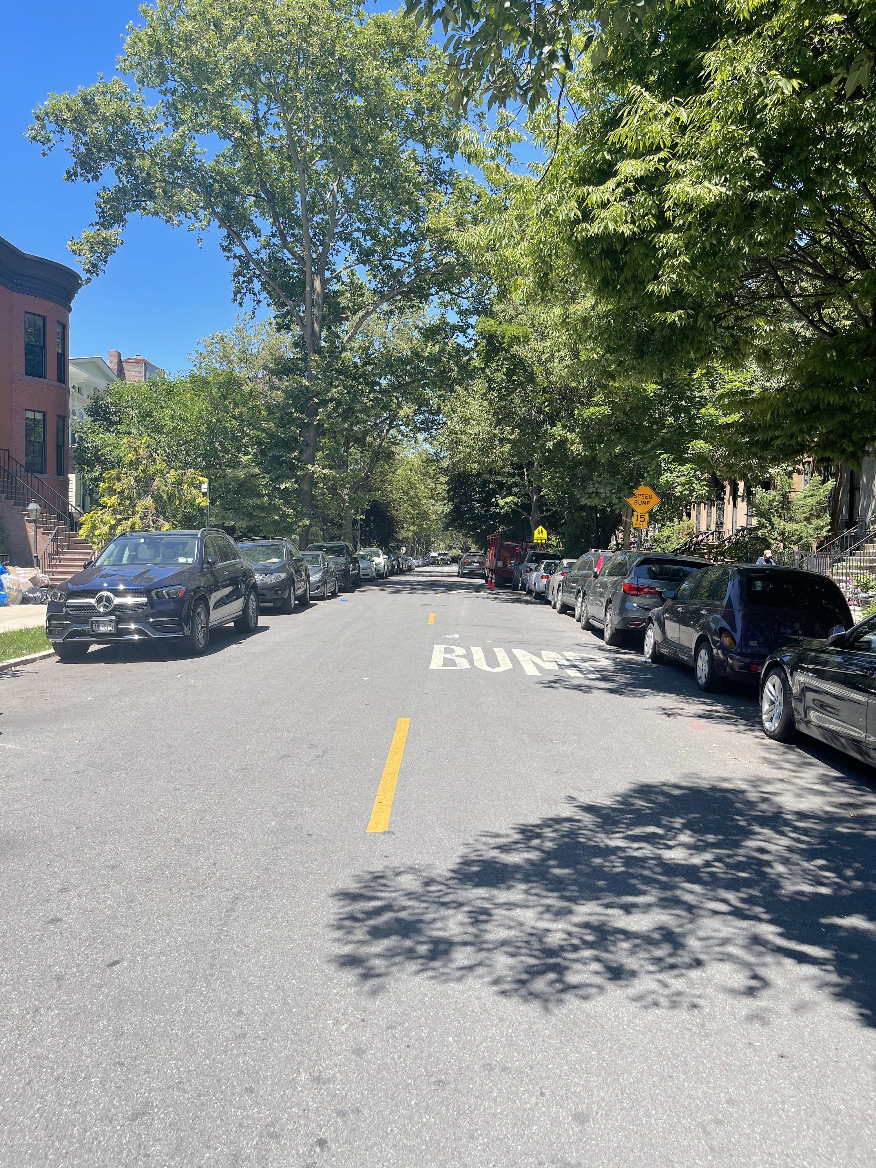 83 Lefferts Place Brooklyn, NY 11238 - Photo 8 of 9