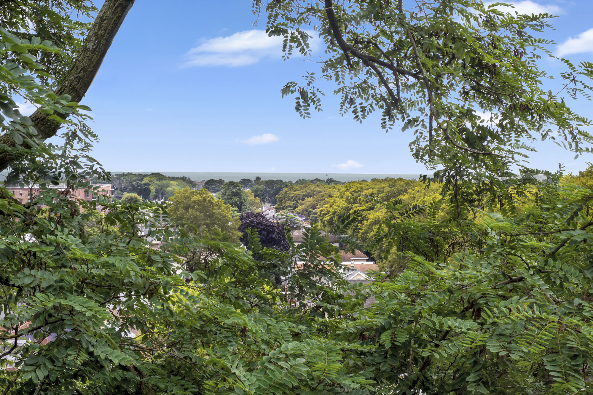 1233 Todt Hill Road Staten Island, NY 10304 - Photo 21 of 30 Gallery Image 21
