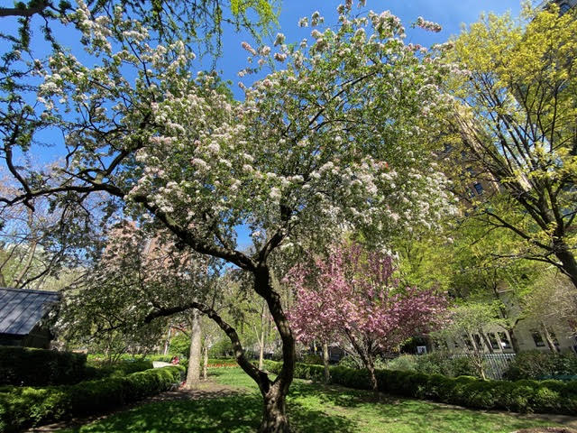 45 Gramercy Park North, Unit 14B Manhattan, NY 10010 - Photo 18 of 21