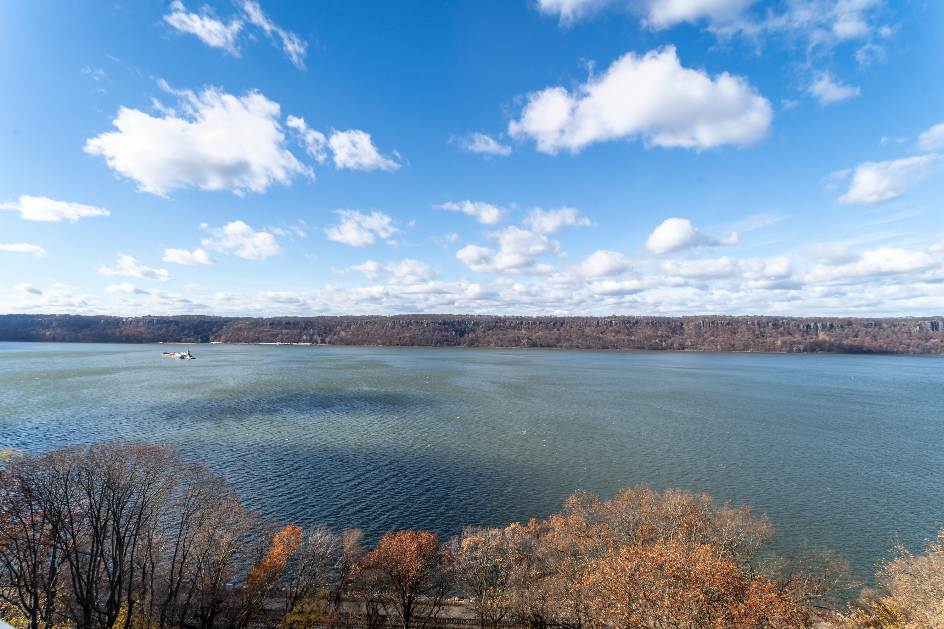 2575 Palisade Avenue, Unit 11J Bronx, NY 10463 - Photo 9 of 13 a view of a lake in middle of a field
