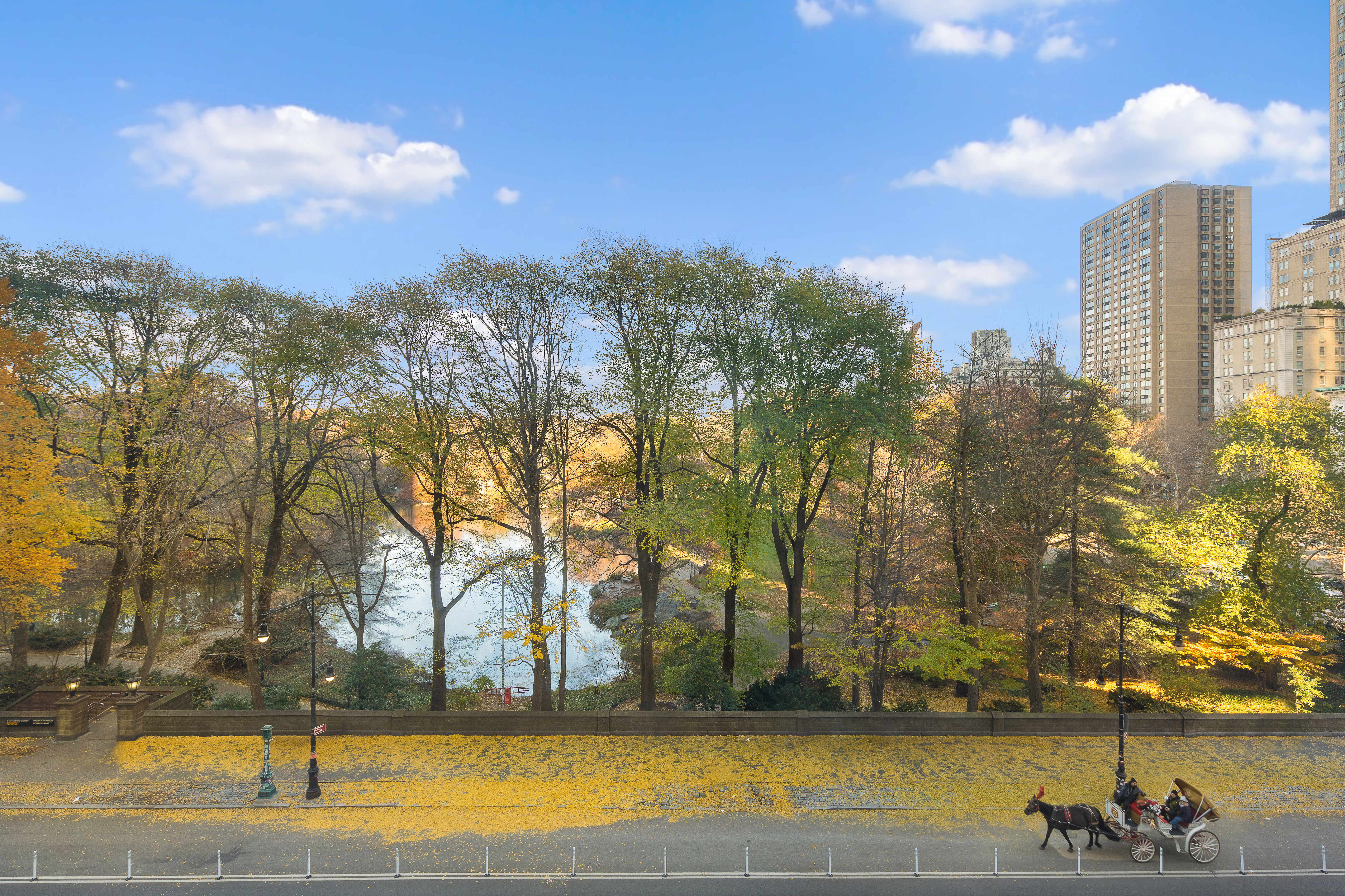 1 Central Park South, Unit 409 Manhattan, NY 10019 - Photo 5 of 26 a view of a yard