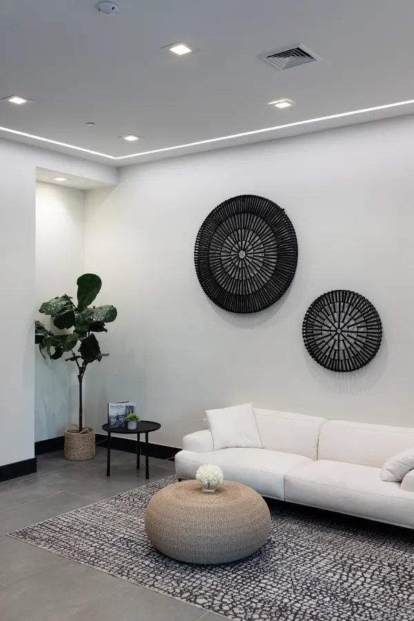 a living room with furniture and a potted plant