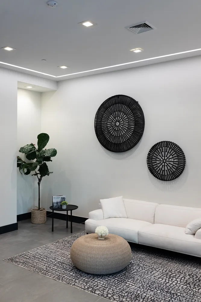a living room with furniture and a potted plant