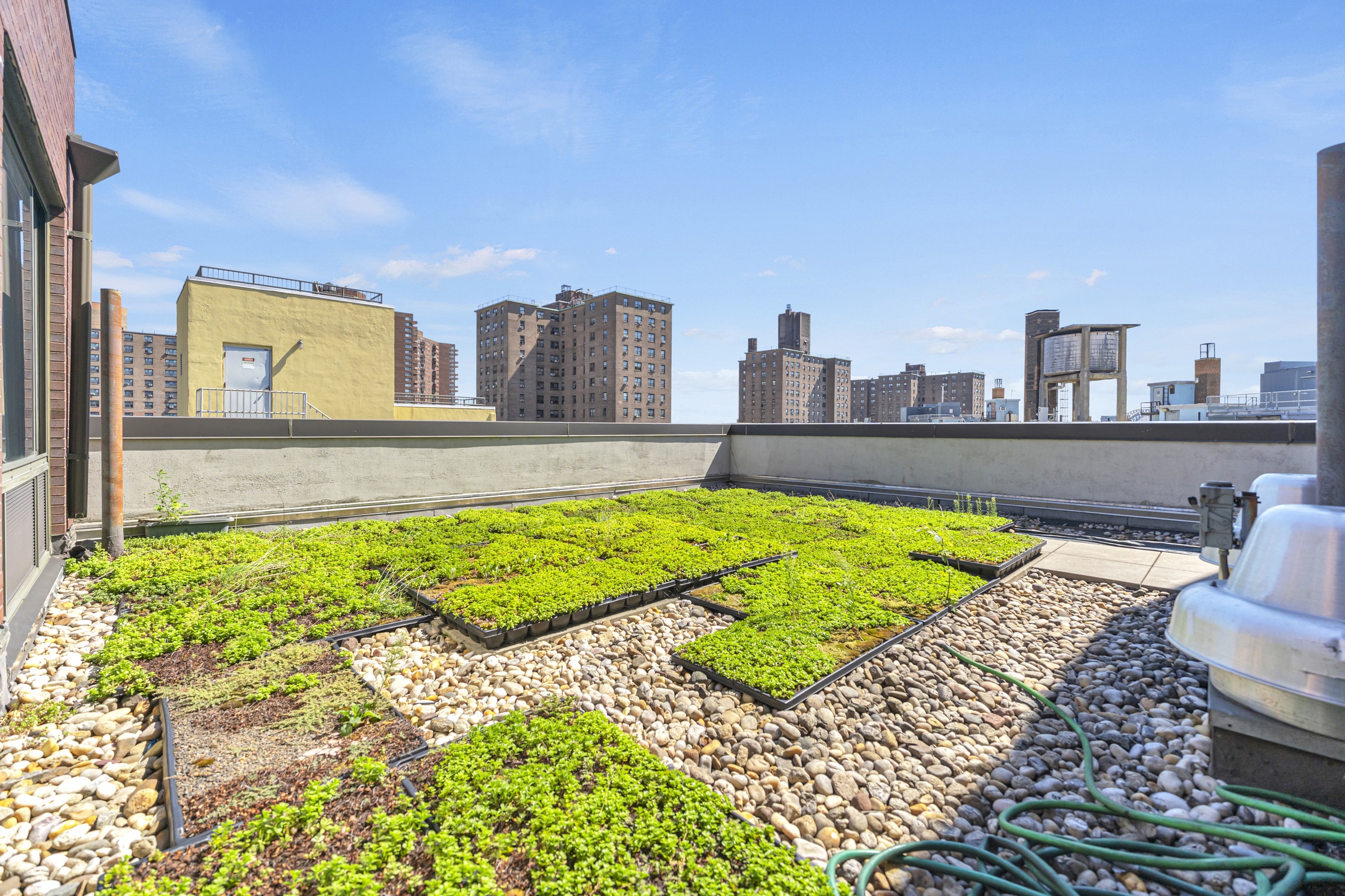 353 East 104th Street, Unit 9C Manhattan, NY 10029 - Photo 9 of 13