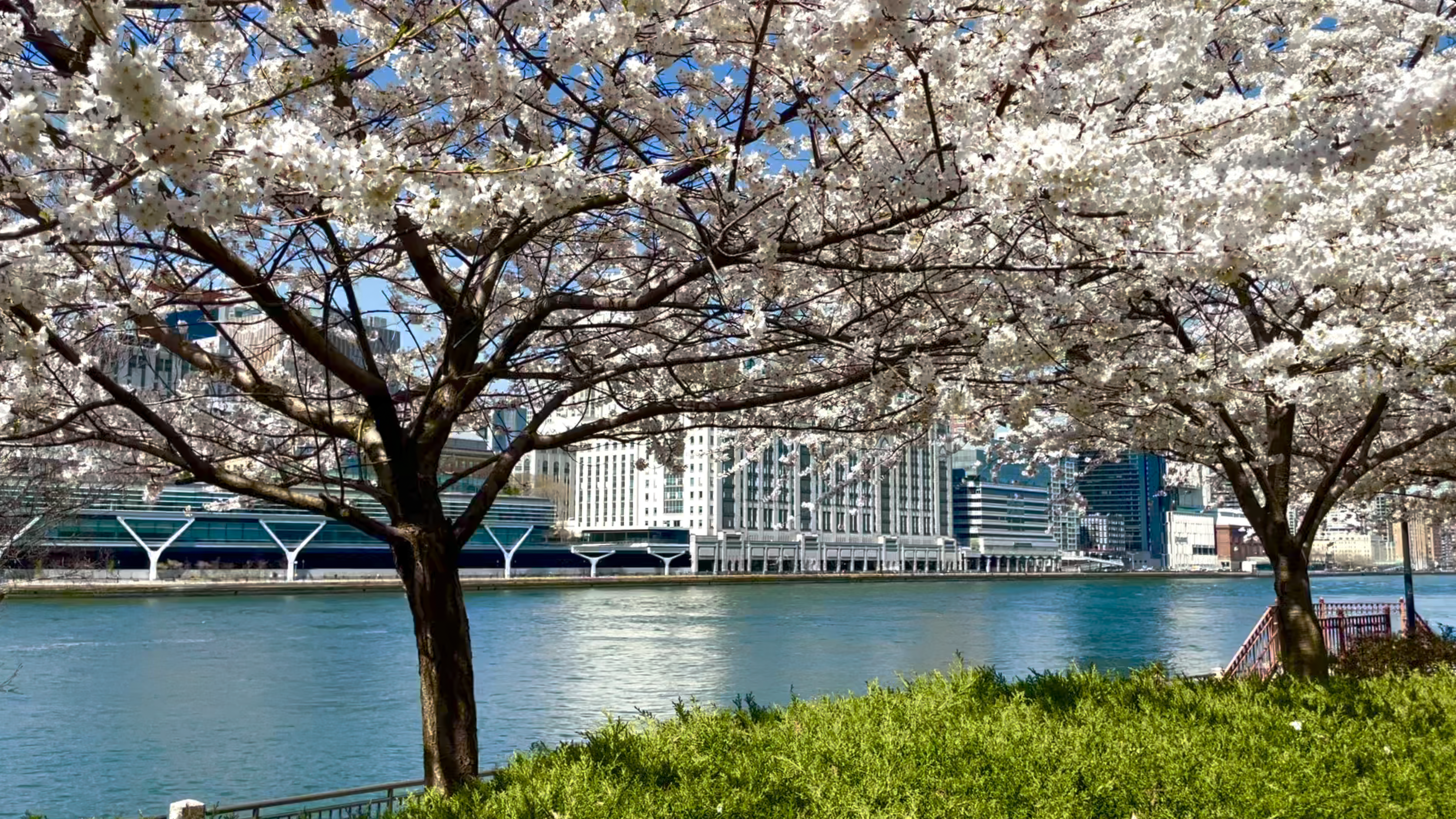 555 Main Street, Unit 1315 Manhattan, NY 10044 - Photo 15 of 16