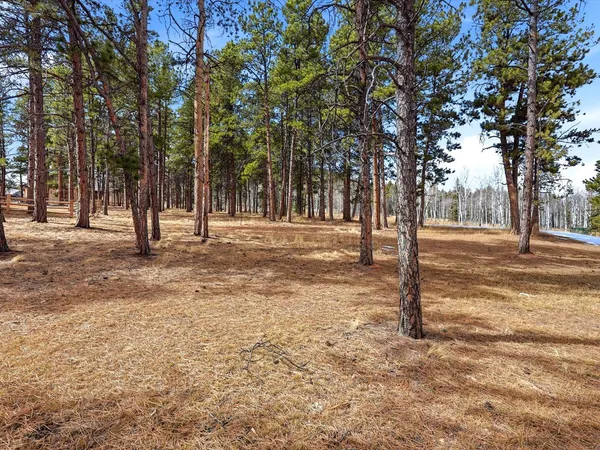 $750,000 | 1305 Stone Ridge Drive, Woodland Park, CO 80863