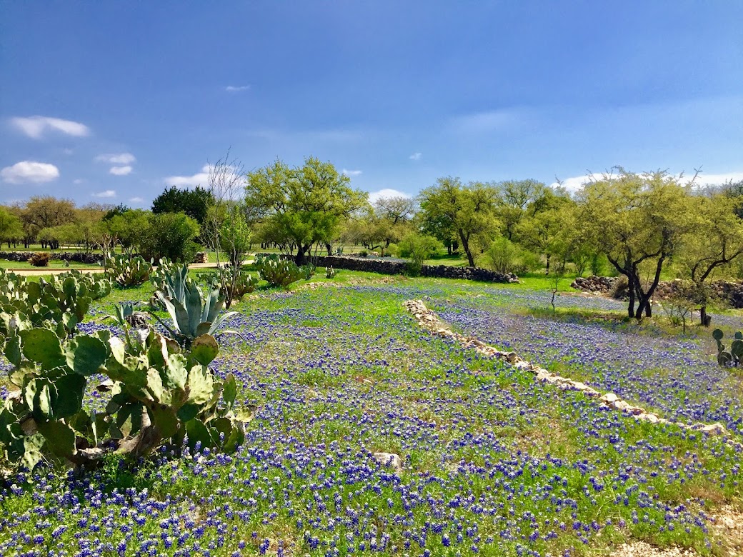 2808 Fall Creek Estates Drive Spicewood, TX 78669 - Photo 4 of 23