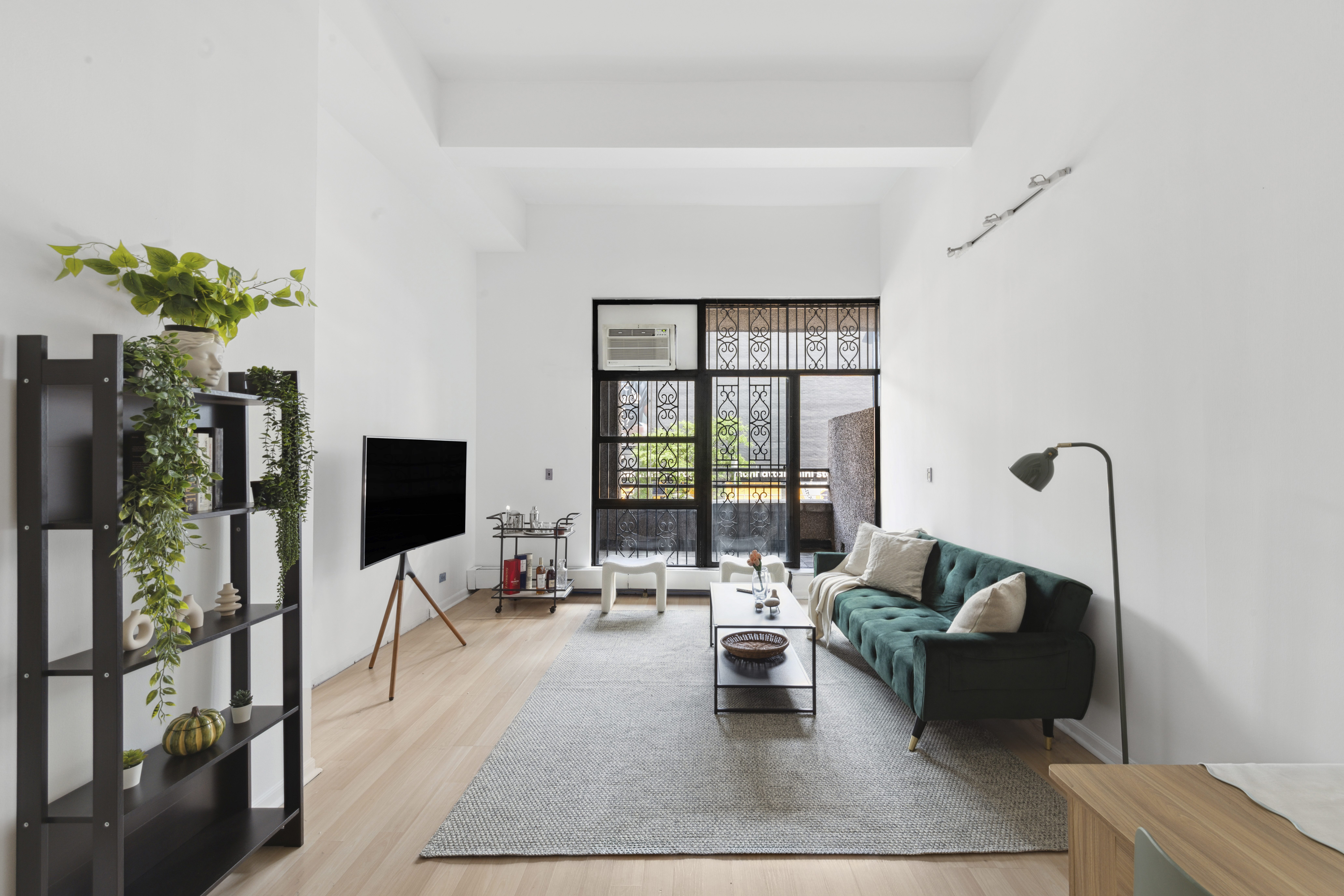 a living room with furniture a flat screen tv and a potted plant