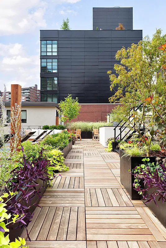 a view of a pathway with flower plants