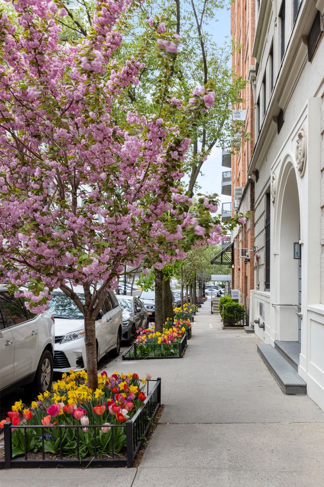 167 Perry Street, Unit 2F Manhattan, NY 10014 - Photo 9 of 11 a view of street with flower on side of it
