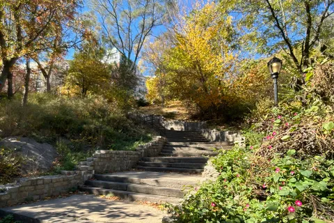 a view of water with a tree