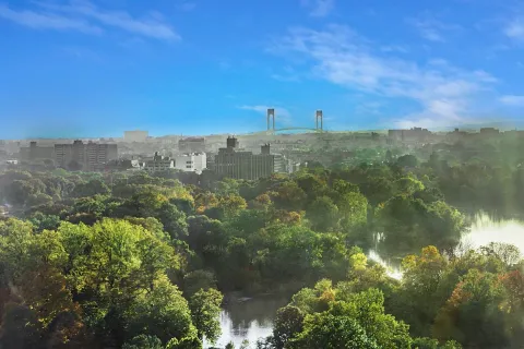 a view of a lake in middle of forest