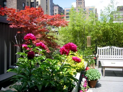 a flower plants in front of a building
