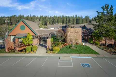 a aerial view of a house with a yard and potted plants