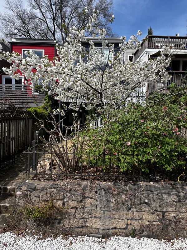 $1,675,000 | 1726 Kenyon Street Northwest, Washington, DC 20010