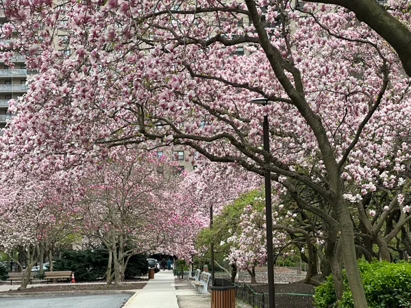 $770,000 | 180 West End Avenue, Unit 14G | Upper West Side