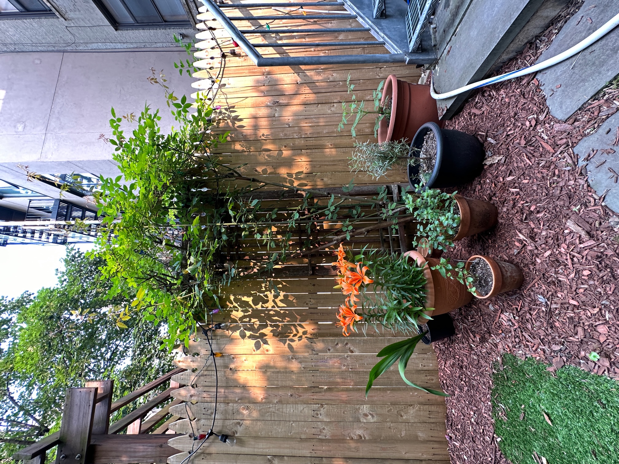 314 West 115th Street, Unit 1 Manhattan, NY 10026 - Photo 9 of 10