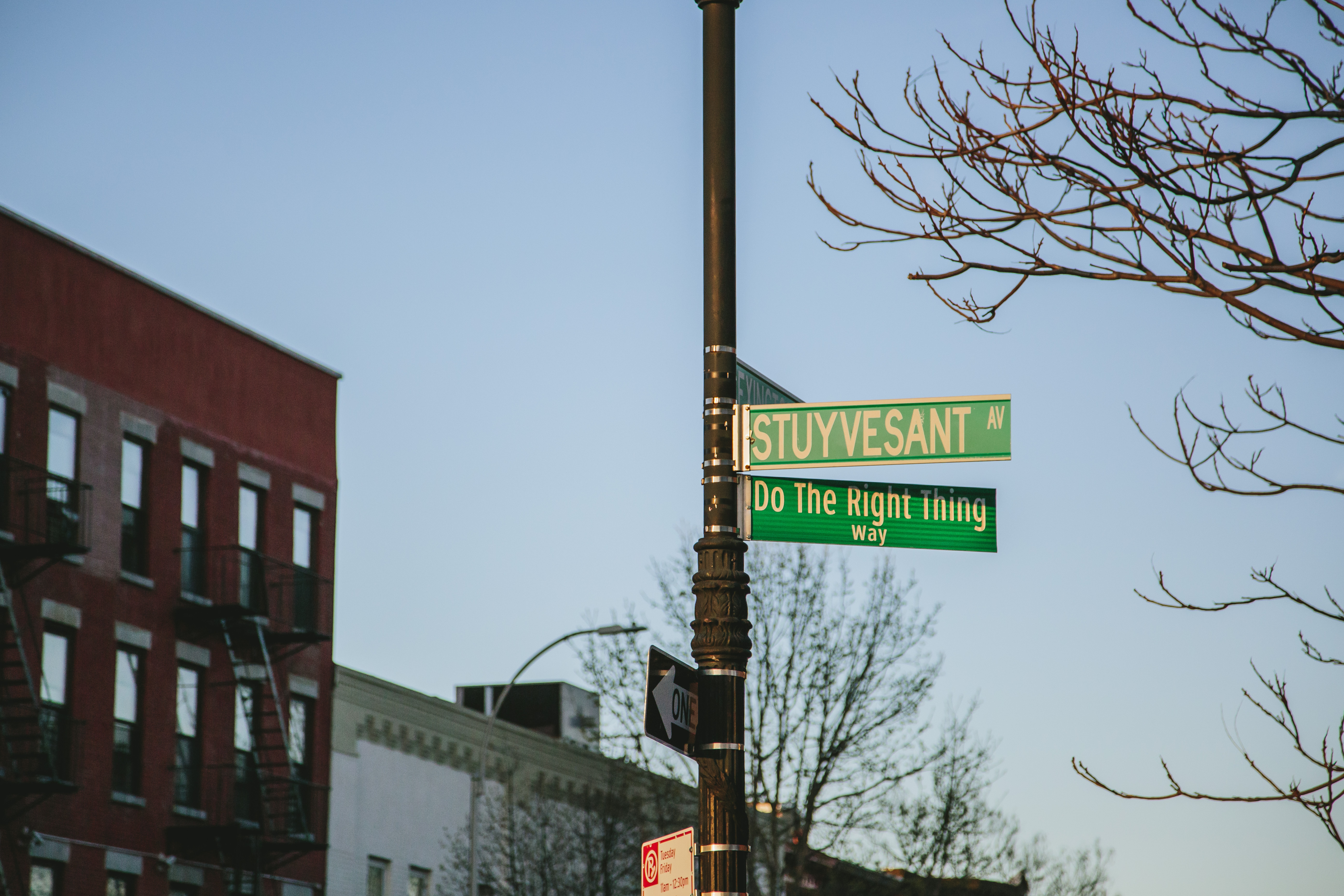 435 Tompkins Avenue, Unit 303 Brooklyn, NY 11216 - Photo 9 of 14