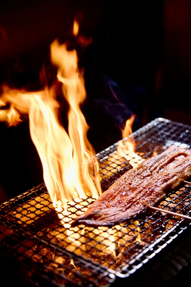 a view of a backyard of a house