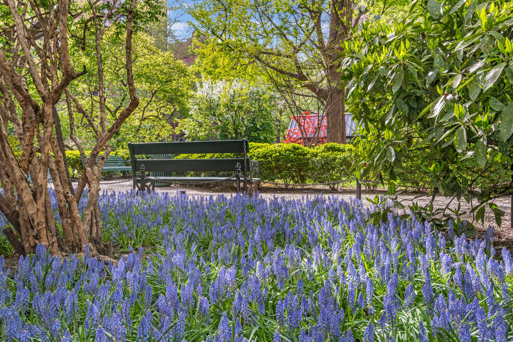 151 East 20th Street, Unit 4C Manhattan, NY 10010 - Photo 13 of 15