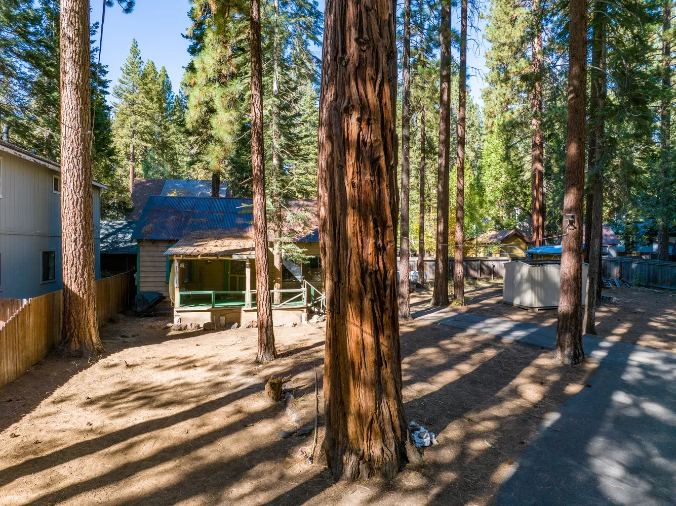 a view of a forest with mountains in the background