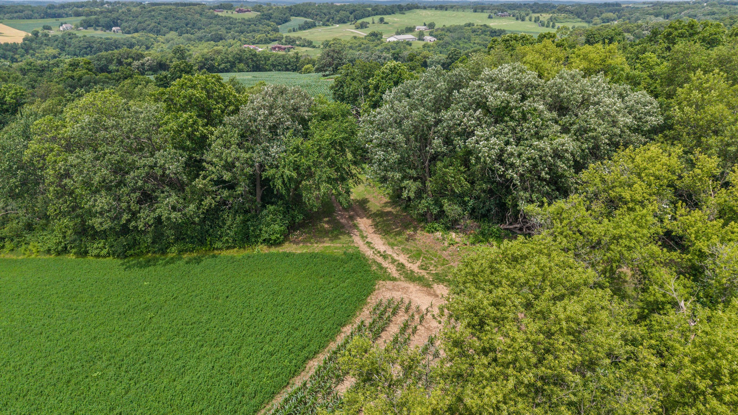 146 /- Acres Otto Kerl Road Cross Plains, WI 53528 - Photo 11 of 20
