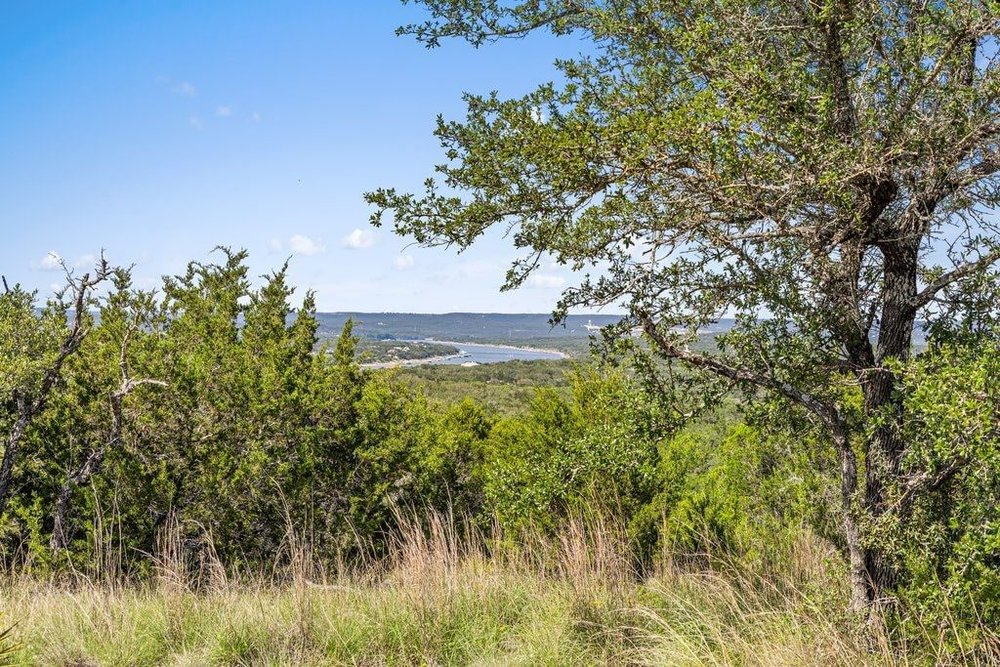 Tbd Spicewood, TX 78669 - Photo 59 of 61