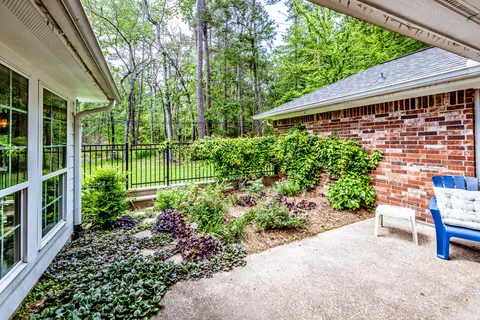 a view of a yard with plants