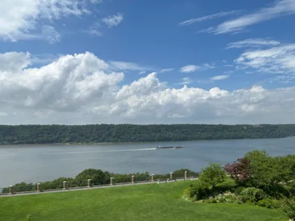 a view of a lake from a yard