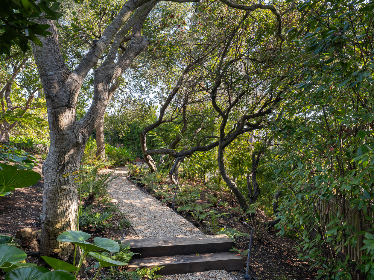 20 Crest Road Belvedere, CA 94920 - Photo 46 of 66