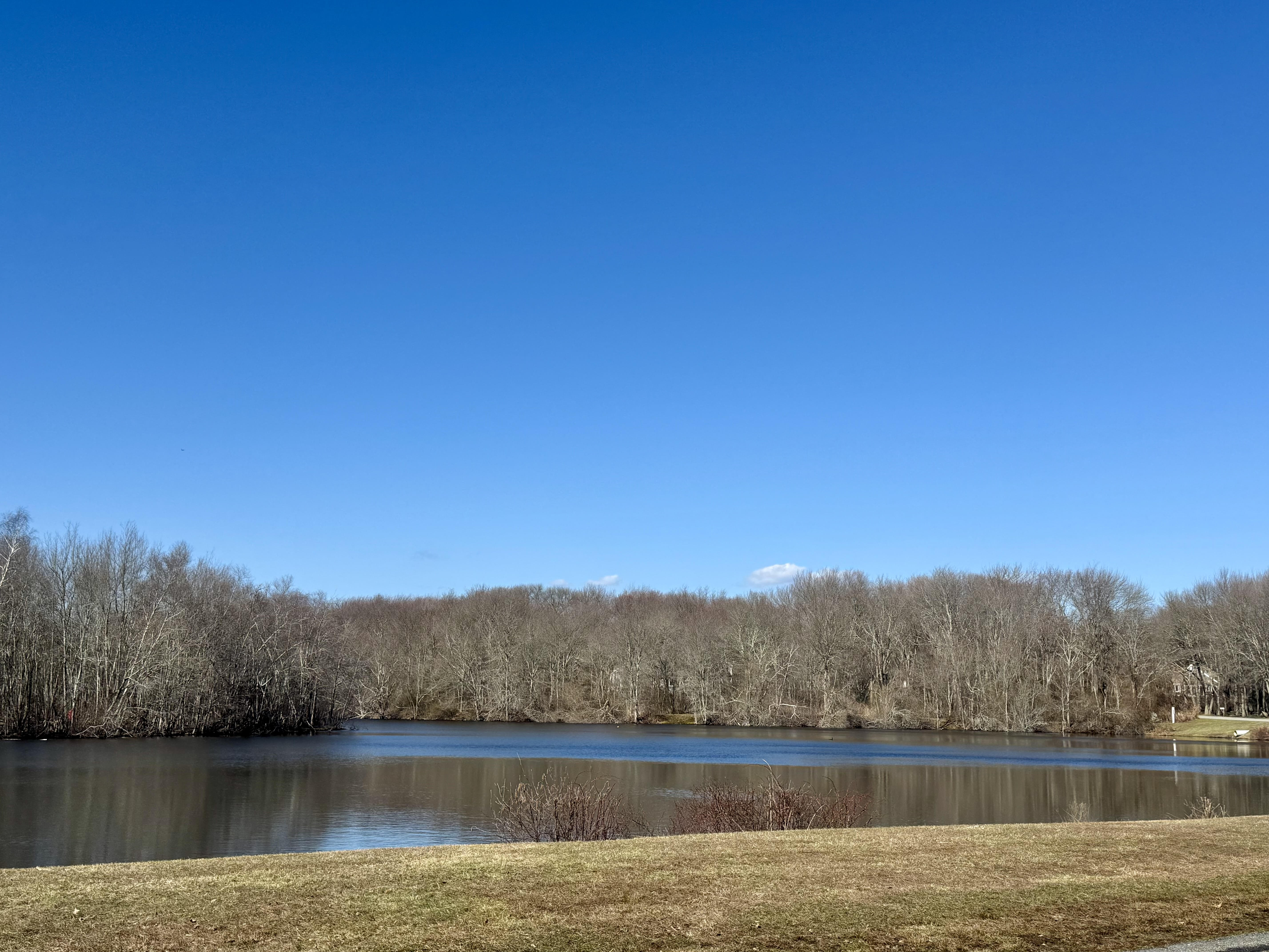 4 Intrepid Lane Jamestown, RI 02835 - Photo 14 of 16