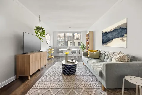 a living room with furniture and a potted plant