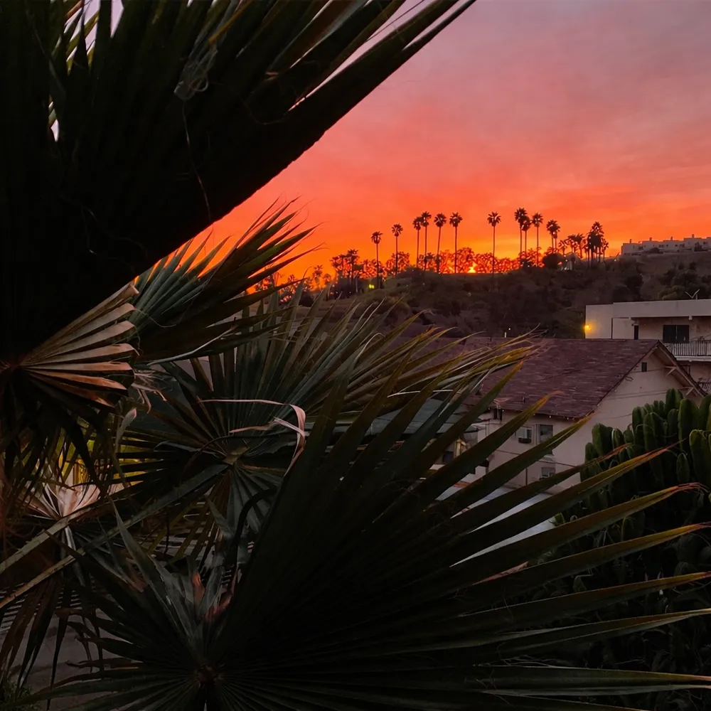 $749,000 | 711 Bernard Street, Los Angeles, CA 90012