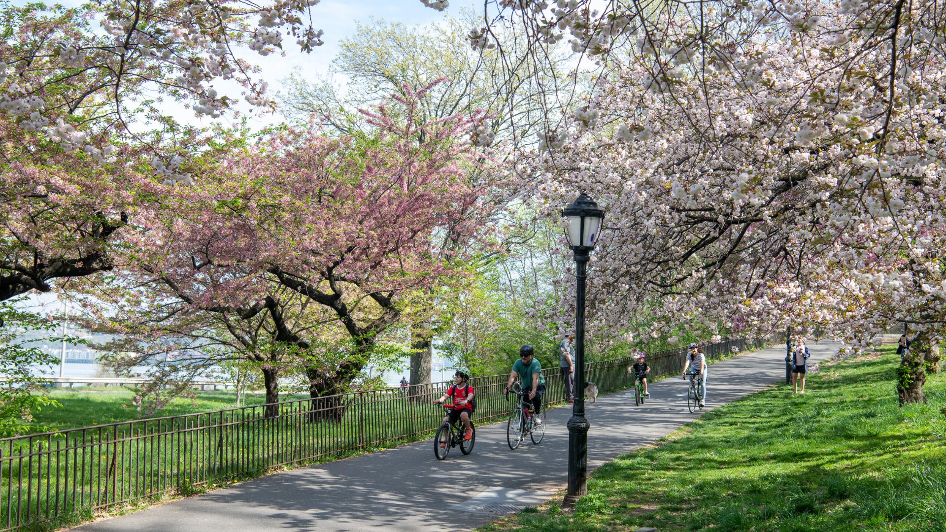 304 West 88th Street, Unit GC Manhattan, NY 10024 - Photo 13 of 16 a view of a park with large trees