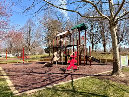 a view of park with large trees