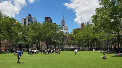 a group of people playing in a park