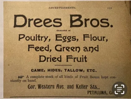 a close view of a painting on the wall