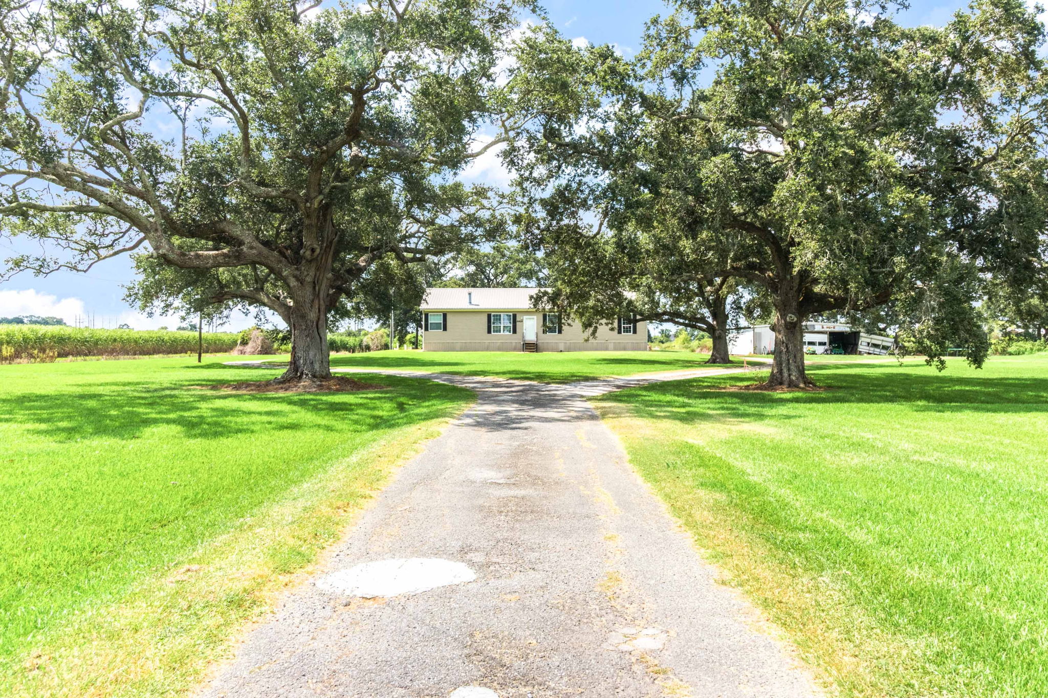 2939 West Aladin Road Erath, LA 70533 - Photo 3 of 25 Gallery Image 3
