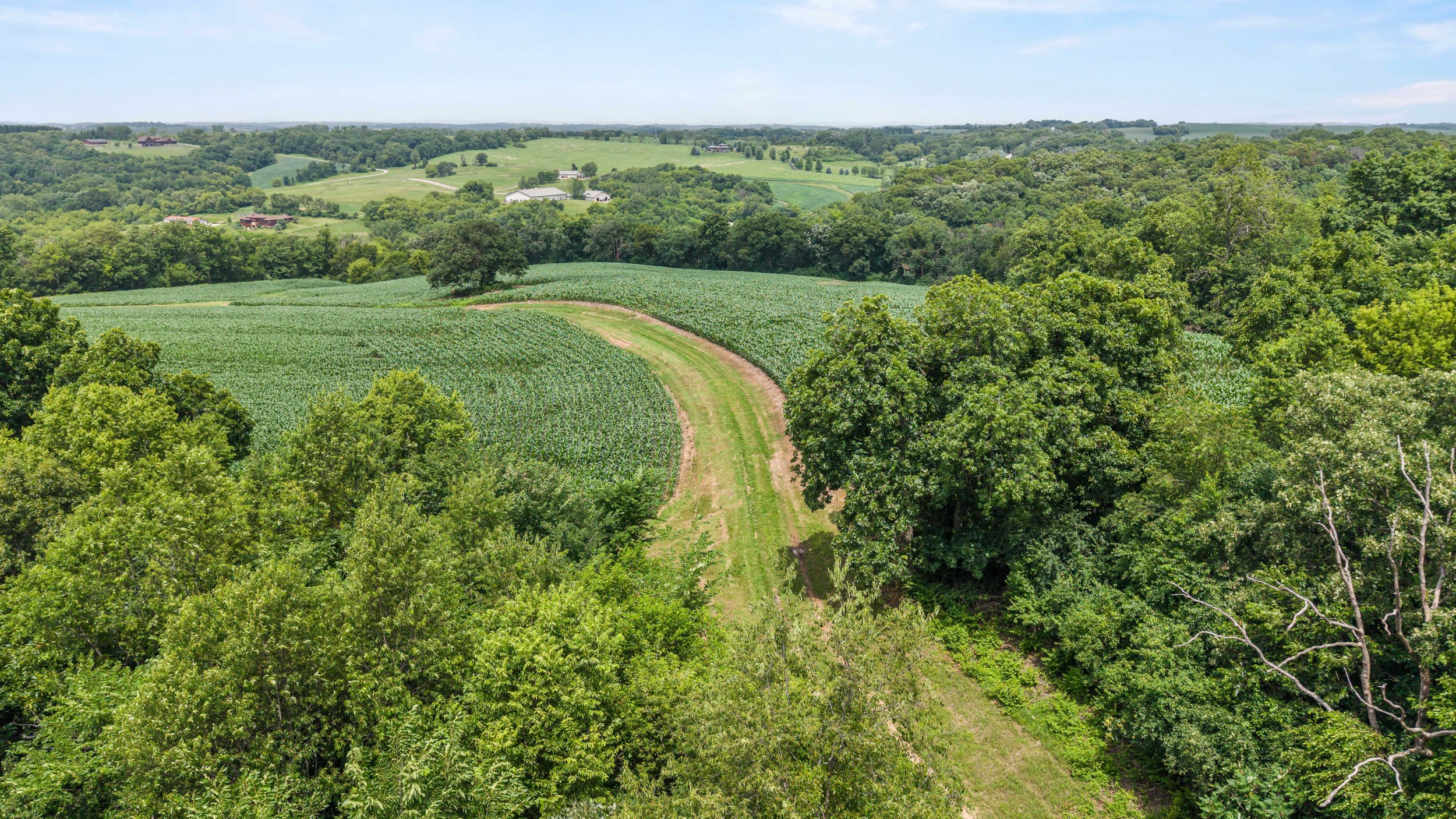 146 /- Acres Otto Kerl Road Cross Plains, WI 53528 - Photo 12 of 20