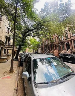 a view of a backyard with a trees