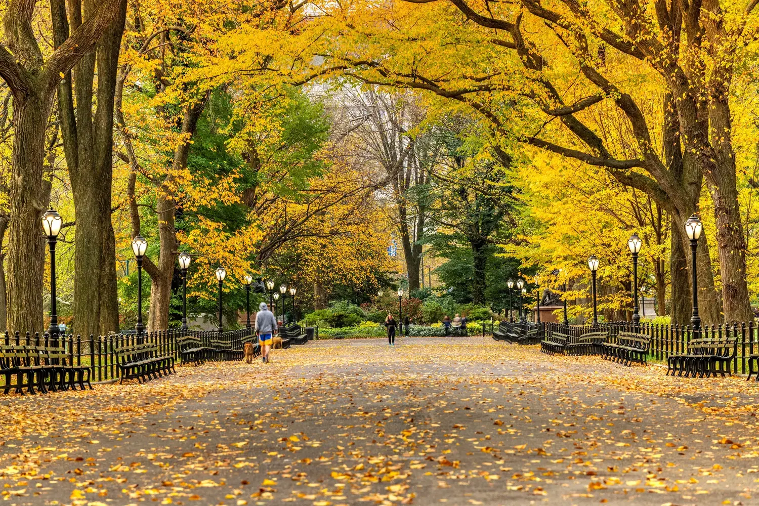 304 West 88th Street, Unit GC Manhattan, NY 10024 - Photo 15 of 16 a view of road with trees