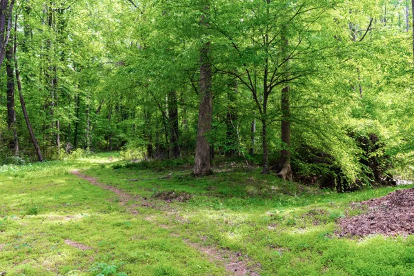 $498,000 | 1109 Theresa Court, Raleigh, NC 27615