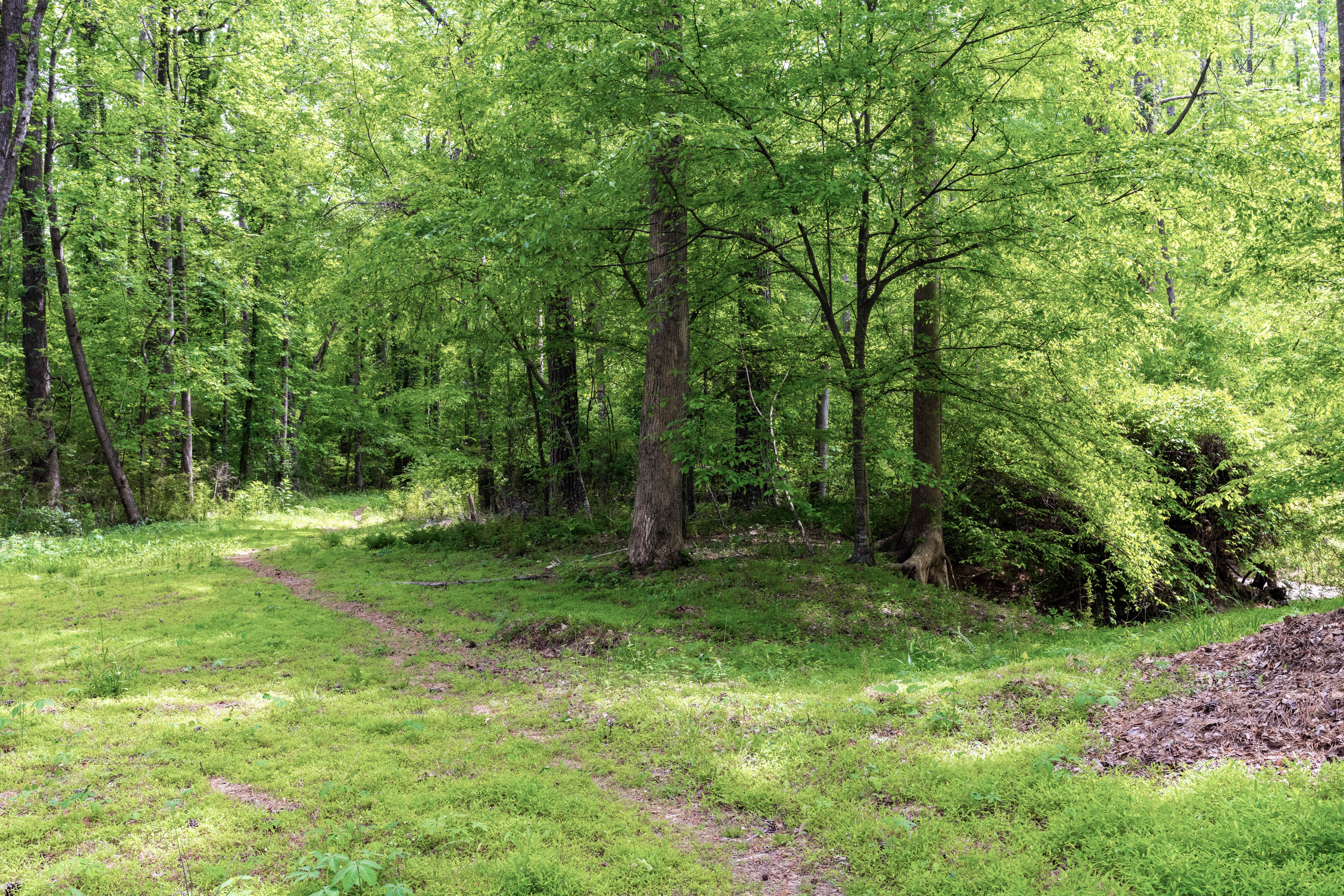 1109 Theresa Court Raleigh, NC 27615 - Photo 36 of 39